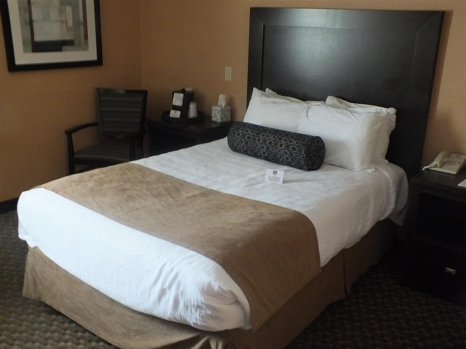 Best Western Plus Dryden Hotel And Conference Centre Экстерьер фото